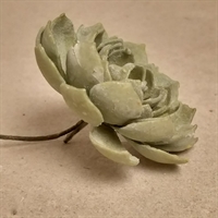 mosgrønt husløg gammel kunstig plante i plastik genbrug